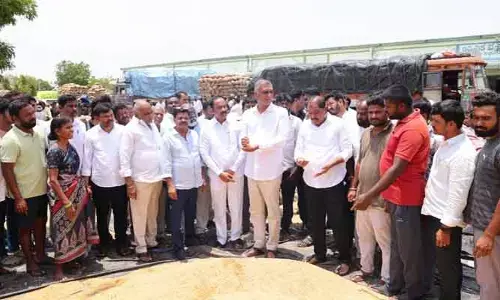 కేంద్ర, రాష్ట్ర ప్రభుత్వాలు రైతులను నట్టేట ముంచుతున్నాయి : ఎమ్మెల్యే హరీష్ రావు