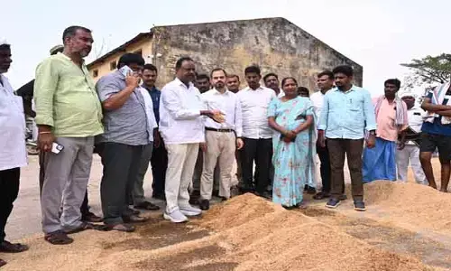 కొనుగోలు పత్రాలు ఇవ్వకపోతే సీఈఓ లను సస్పెండ్ చేస్తాం