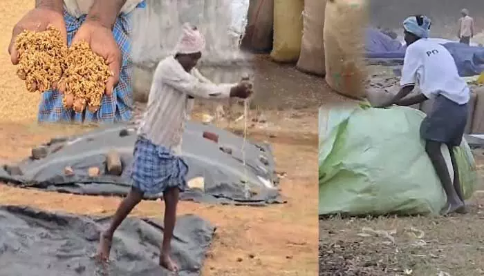 అర్ధరాత్రి భారీ వాన బీభత్సం.. తడిసి ముద్దయిన ధాన్యం, అన్నదాతల కన్నీరు అర్ధరాత్రి భారీ వాన బీభత్సం.. తడిసి ముద్దయిన ధాన్యం, అన్నదాతల కన్నీరు