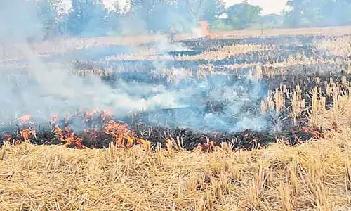 వరి కొయ్యలు కాలుస్తూ రైతు దుర్మరణం