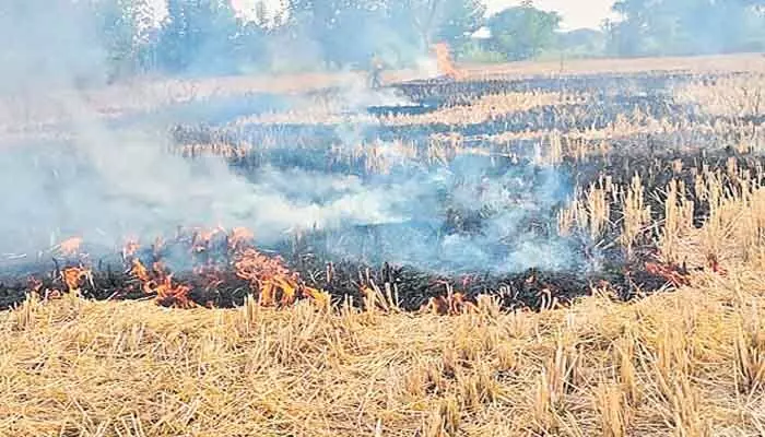 వరి కొయ్యలు కాలుస్తూ రైతు దుర్మరణం వరి కొయ్యలు కాలుస్తూ రైతు దుర్మరణం