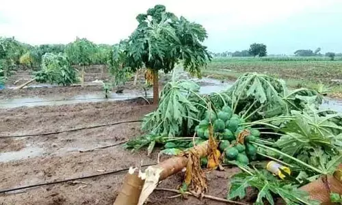 వర్ష బీభత్సం.. ఐదుగురి మృతి