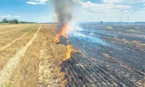 మంటల్లో పంటలు..  అవశేషాలకు నిప్పుతో అనర్థాలు