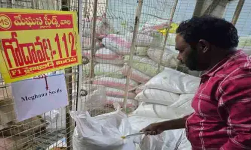 విత్తన అక్రమాలపై కేసులు న‌మోదు