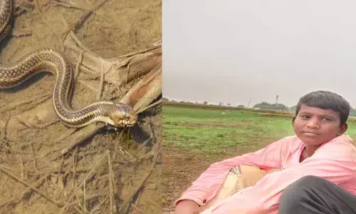 పాము కాటుతో బాలుడు మృతి