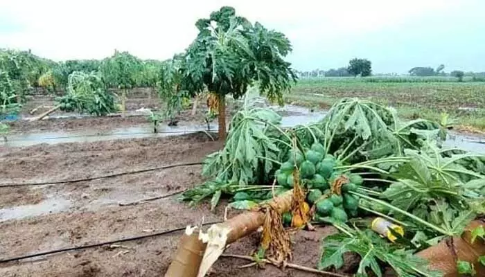 వర్ష బీభత్సం.. ఐదుగురి మృతి వర్ష బీభత్సం.. ఐదుగురి మృతి