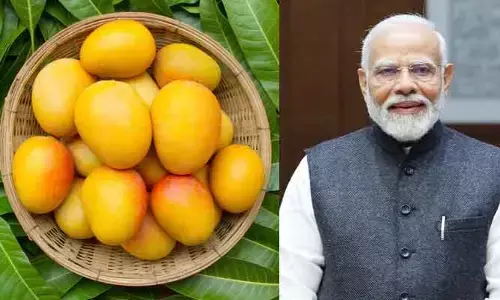 ప్రధాని నోట ‘నోరూరించే బంగినపల్లి మామిడి’ మాట.. ఏమన్నారంటే..?