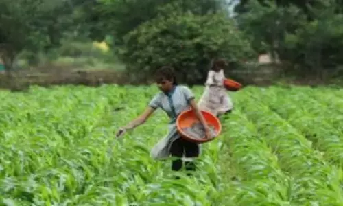 Fertiliser: ఎరువుల రంగంపై యుద్ధ ప్రభావం
