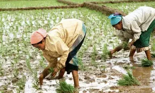 ఎల్‌నినో ఎఫెక్ట్.. ఖరీఫ్ రైతులకు వ్యవసాయశాఖ హెచ్చరిక