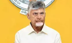 గ్రీన్ ఏపీనే లక్ష్యం.. సీఎం చంద్రబాబు సంచలన పిలుపు