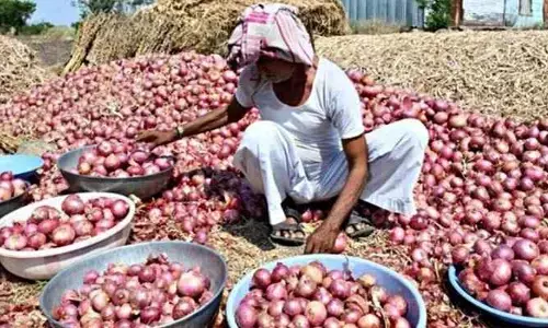 ఉల్లి రైతులకు కేంద్రం శుభవార్త.. సేకరణ ధర పెంపు !