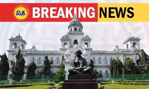 తెలంగాణ అసెంబ్లీ వద్ద గాలి దుమారం.. ఎమ్మెల్యేల ఎంట్రన్స్ గేటు వద్ద విరిగిపడ్డ చెట్టు
