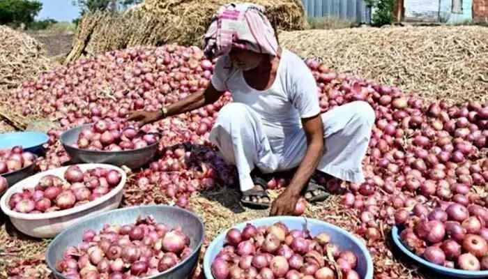 ఉల్లి రైతులకు కేంద్రం శుభవార్త.. సేకరణ ధర పెంపు ! ఉల్లి రైతులకు కేంద్రం శుభవార్త.. సేకరణ ధర పెంపు !