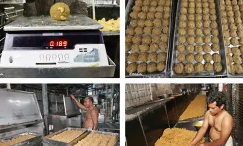 తిరుమల లడ్డూ సరికొత్త రికార్డు.. నాణ్యతలో తిరుగులేని ప్రసాదం