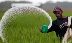 యూరియా సరఫరా ఆలస్యం.. ఖరీఫ్ సీజన్‌పై ప్రభావం?