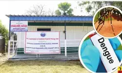 ఏజెన్సీకి సీజనల్ ముప్పు !