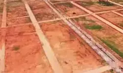అడ్డగోలుగా అక్రమ వెంచర్ !