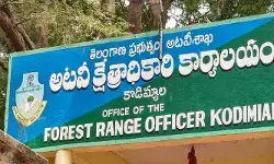 కొడిమ్యాల ఫారెస్ట్ కార్యాలయంలో ఏసీబీ సోదాలు