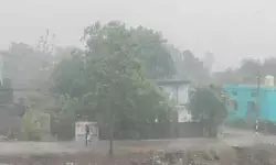 తొలకరి వర్షానికి పులకించిన పుడమితల్లి.. రైతన్నల హర్షం