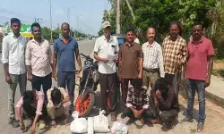 పాల్వంచలో నిషేధిత గంజాయి పట్టివేత
