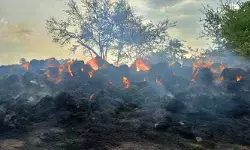 విద్యుత్ షార్ట్ సర్క్యూట్‌తో గడ్డివాములు దగ్ధం