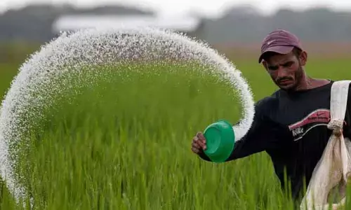 యూరియా సరఫరా ఆలస్యం.. ఖరీఫ్ సీజన్‌పై ప్రభావం?