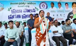 Mulugu Forests: ములుగు జిల్లాలోనే దట్టమైన అడవులు.. మంత్రి సీతక్క సంచలన వ్యాఖ్యలు