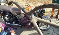 బైక్ పై విరిగిపడ్డ చెట్టు కొమ్మ.. తండ్రికి గాయాలు, కుమార్తెకు తృటిలో తప్పిన ప్రమాదం