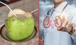 కొబ్బరినీళ్లు తాగితే కిడ్నీ‌ స్టోన్స్ కరిగిపోతాయా?