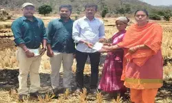 వరి కొయ్యలను కాల్చిన రైతుకు రూ.5వేల జరిమానా