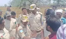 బెజ్జూర్ రేంజ్‌లో పోడు భూముల లొల్లి