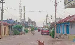 వామ్మో! ఓ వైపు కోతులు, మరోవైపు కుక్కలు.. భయాందోళనలో ప్రజలు