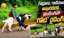 పెట్రోల్ ధరలు పెరిగితేనేం.. రూపాయి ఖర్చు లేకుండా ప్రయాణం: బుడ్డోడి తెలివికి నెటిజన్లు ఫిదా! పెట్రోల్ ధరలు పెరిగితేనేం.. రూపాయి ఖర్చు లేకుండా ప్రయాణం: బుడ్డోడి తెలివికి నెటిజన్లు ఫిదా!