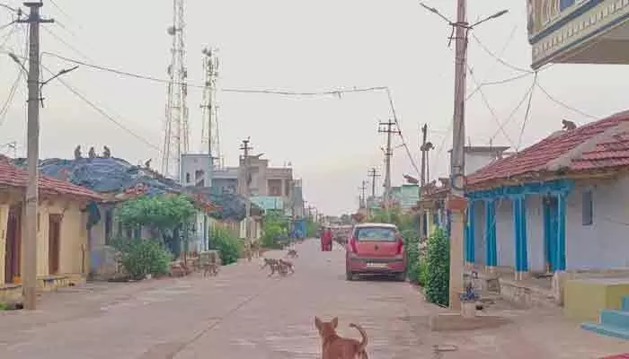 వామ్మో! ఓ వైపు కోతులు, మరోవైపు కుక్కలు.. భయాందోళనలో ప్రజలు వామ్మో! ఓ వైపు కోతులు, మరోవైపు కుక్కలు.. భయాందోళనలో ప్రజలు