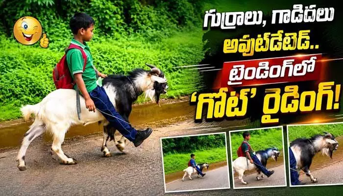 పెట్రోల్ ధరలు పెరిగితేనేం.. రూపాయి ఖర్చు లేకుండా ప్రయాణం: బుడ్డోడి తెలివికి నెటిజన్లు ఫిదా! పెట్రోల్ ధరలు పెరిగితేనేం.. రూపాయి ఖర్చు లేకుండా ప్రయాణం: బుడ్డోడి తెలివికి నెటిజన్లు ఫిదా!