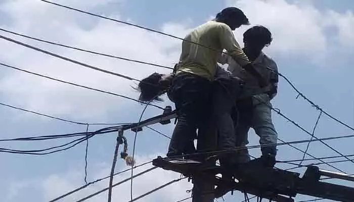 కరెంట్ షాక్తో కార్మికుడి మృతి కరెంట్ షాక్తో కార్మికుడి మృతి
