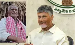 చంద్రబాబును చూడాలన్న పెద్దాయన.. వైరల్ వీడియోపై స్పందించిన సీఎం