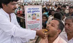 నేటి నుంచి చేప ప్రసాదం పంపిణీ..టైమింగ్స్ ఇవే నేటి నుంచి చేప ప్రసాదం పంపిణీ..టైమింగ్స్ ఇవే