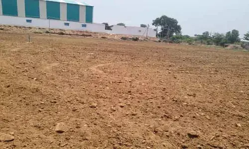 ప‌త్తి విత్త‌నాలు వేసిన పంట‌ను ట్రాక్ట‌ర్ తో చెడ‌గొట్టి దున్నిన వ్య‌క్తుల‌పై చ‌ర్య‌లు తీసుకోవాలని పోలీసుల‌కు ఫిర్యాదు