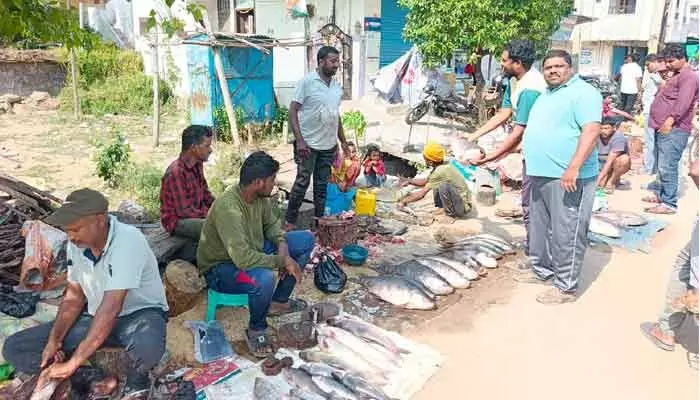 మృగశిర కార్తె.. చేపలకు భలే గిరాకీ మృగశిర కార్తె.. చేపలకు భలే గిరాకీ