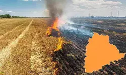 పొలాల్లో నిప్పు.. అన్నదాత ప్రాణాలకు ముప్పు! వరి కొయ్యల అగ్గితో బూడిదవుతున్న భూసారం పొలాల్లో నిప్పు.. అన్నదాత ప్రాణాలకు ముప్పు! వరి కొయ్యల అగ్గితో బూడిదవుతున్న భూసారం
