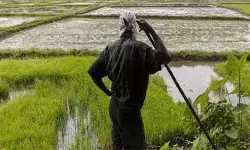 దుక్కి మొదట్లోనే జేబులు ఖాళీ.. ఎకరాకు రూ.8 వేల అదనపు భారం! దుక్కి మొదట్లోనే జేబులు ఖాళీ.. ఎకరాకు రూ.8 వేల అదనపు భారం!