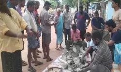 మృగశిర కార్తె ప్రారంభం.. చేపలకు భలే గిరాకీ