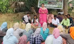 రైతులు ఆరుతడి పంటల వైపు మొగ్గు చూపాలి: మండల వ్యవసాయ అధికారి