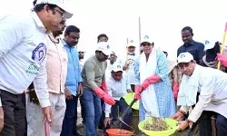 ప్రజల భాగస్వామ్యంతోనే సత్వర ప్రగతి : కలెక్టర్ ఇలా త్రిపాఠి ప్రజల భాగస్వామ్యంతోనే సత్వర ప్రగతి : కలెక్టర్ ఇలా త్రిపాఠి