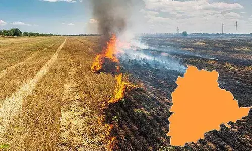 పొలాల్లో నిప్పు.. అన్నదాత ప్రాణాలకు ముప్పు! వరి కొయ్యల అగ్గితో బూడిదవుతున్న భూసారం