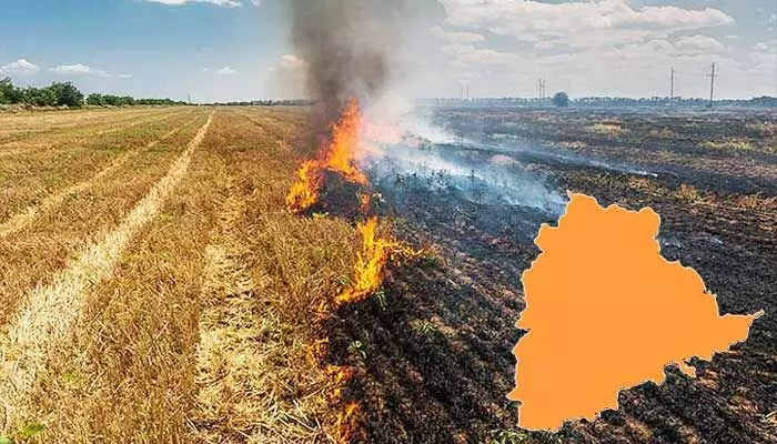 పొలాల్లో నిప్పు.. అన్నదాత ప్రాణాలకు ముప్పు! వరి కొయ్యల అగ్గితో బూడిదవుతున్న భూసారం పొలాల్లో నిప్పు.. అన్నదాత ప్రాణాలకు ముప్పు! వరి కొయ్యల అగ్గితో బూడిదవుతున్న భూసారం