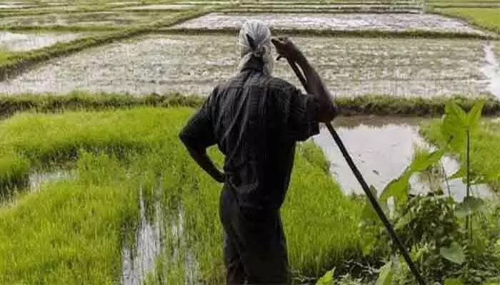 దుక్కి మొదట్లోనే జేబులు ఖాళీ.. ఎకరాకు రూ.8 వేల అదనపు భారం! దుక్కి మొదట్లోనే జేబులు ఖాళీ.. ఎకరాకు రూ.8 వేల అదనపు భారం!