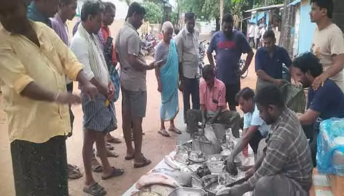మృగశిర కార్తె ప్రారంభం.. చేపలకు భలే గిరాకీ మృగశిర కార్తె ప్రారంభం.. చేపలకు భలే గిరాకీ