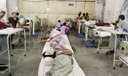 కేరళలో మరో వ్యాధి కలకలం.. ఇద్దరు మృతి కేరళలో మరో వ్యాధి కలకలం.. ఇద్దరు మృతి